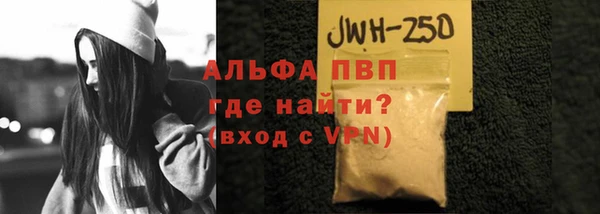 гашик Арсеньев