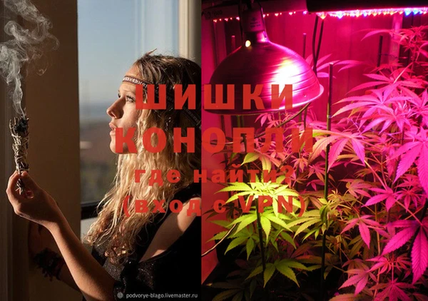 спайс Алзамай