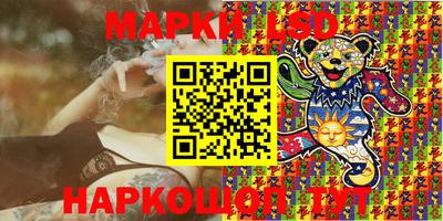 мдпв Кингисепп