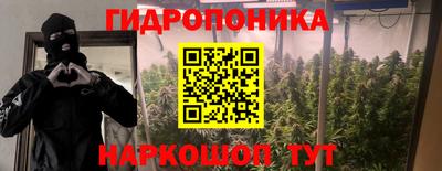 хмурый Камышлов