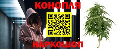 наркотики Кандалакша
