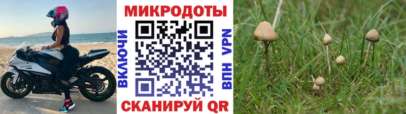 это официальный сайт  OMG tor  Михайловск  Галлюциногенные грибы MAGIC MUSHROOMS 