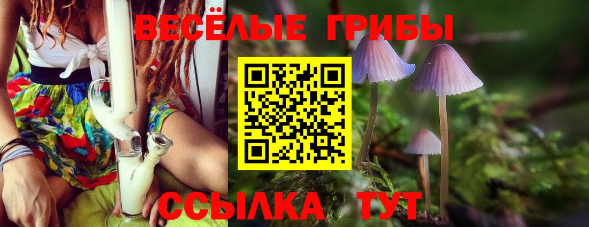 Псилоцибиновые грибы Psilocybe  Вход с VPN  Галлюциногенные грибы мухоморы  купить закладку  Михайловск 