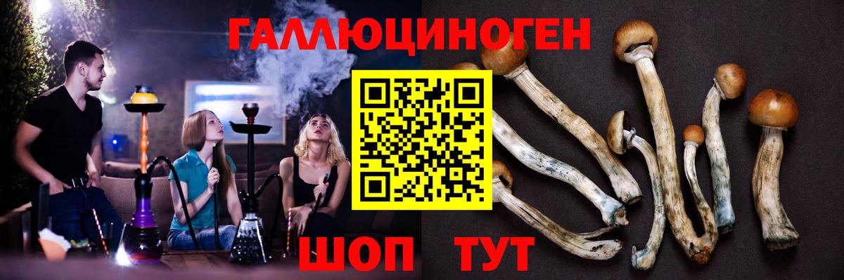 Псилоцибиновые грибы ЛСД Михайловск